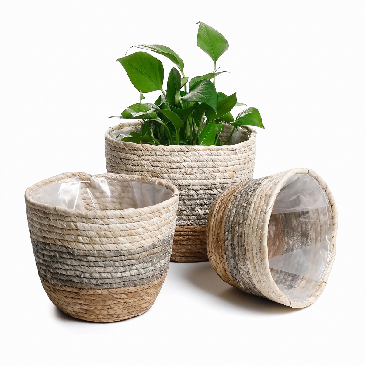 Petit panier de rangement en rotin sur fond blanc