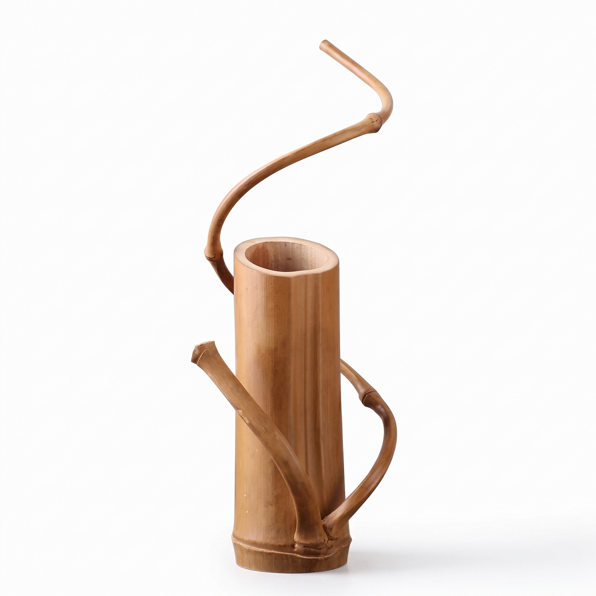Vase tige en bambou sur fond blanc