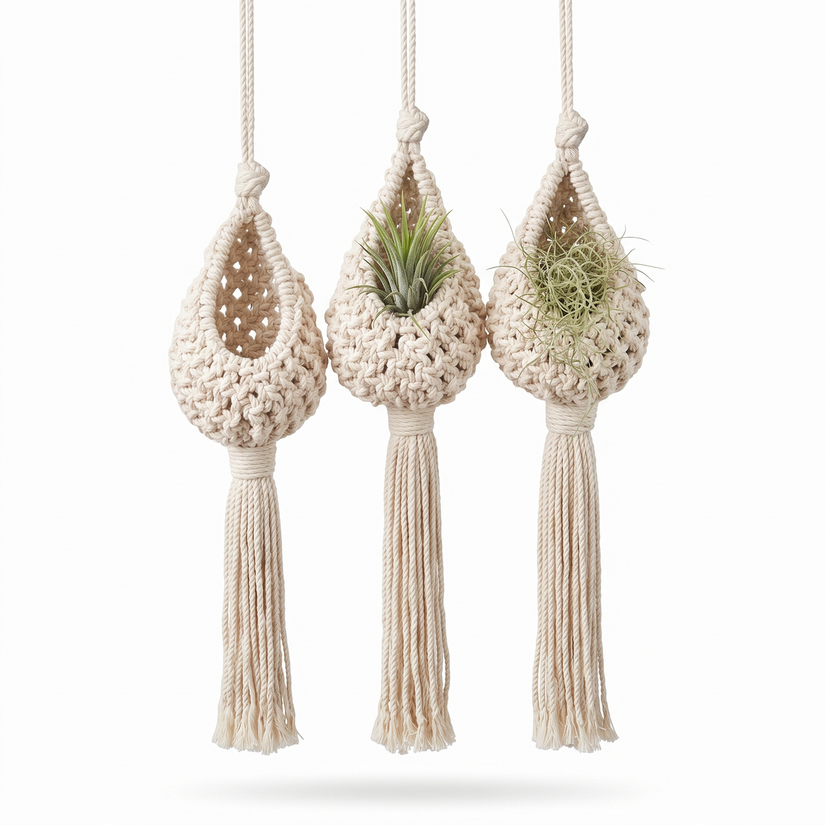 Porte-plante en corde de coton sur fond blanc